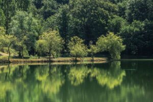 Le Lac d’Aignan et sa Forêt Primaire